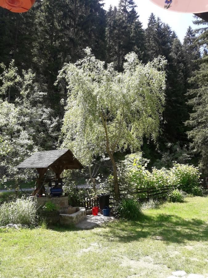 Villa Sastanci-Grahovaca à Rozhajë Extérieur photo